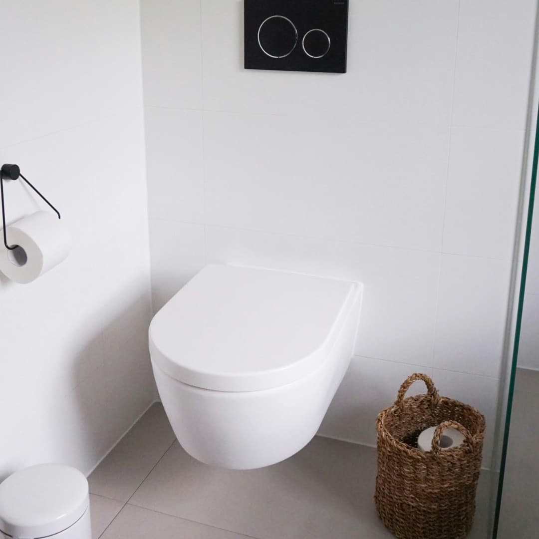 Concealed wall hung toilet